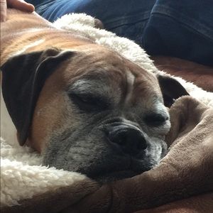 Meet your Posher, Kelly